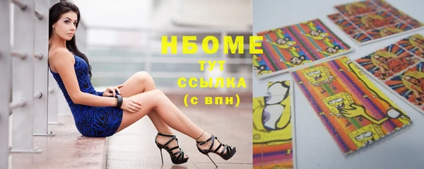 сатива Ельня