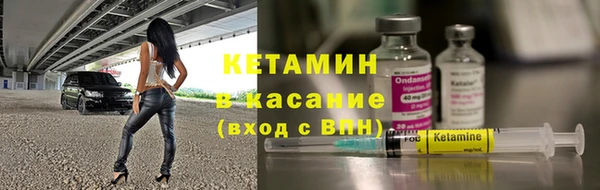 сатива Ельня