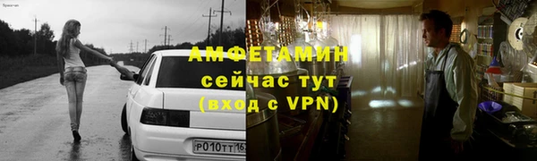 сатива Ельня