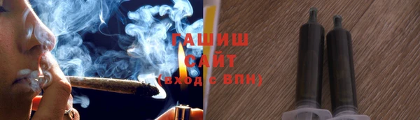 сатива Ельня