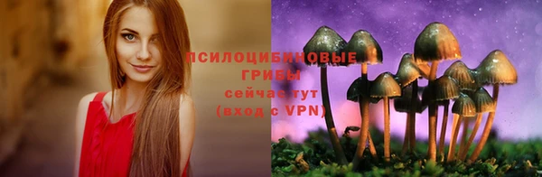 мяу мяу мука Елизово