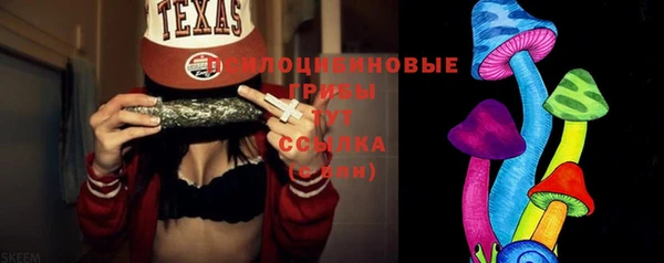 spice Елабуга