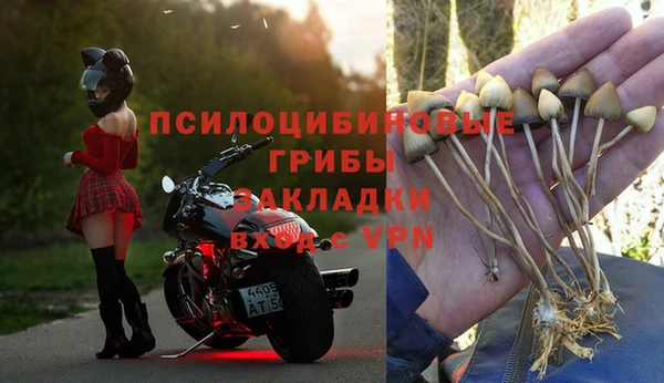 spice Елабуга