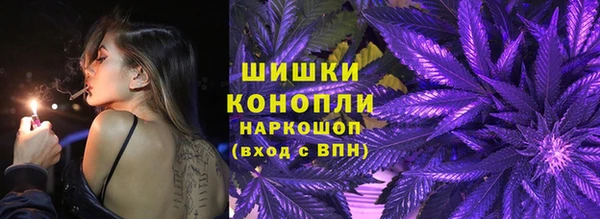 сатива Ельня