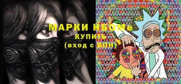 сатива Ельня