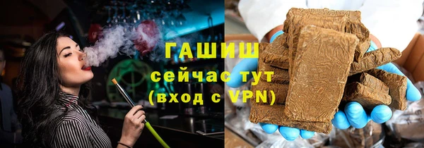 сатива Ельня