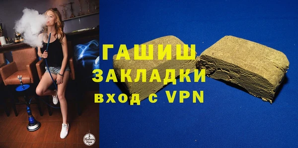 сатива Ельня
