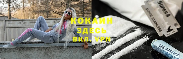 сатива Ельня