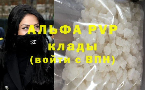 сатива Ельня