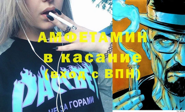 сатива Ельня