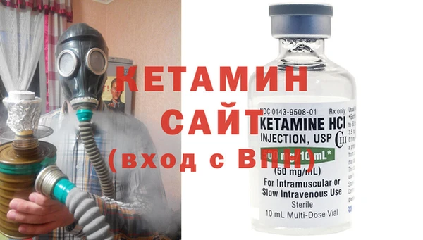 сатива Ельня